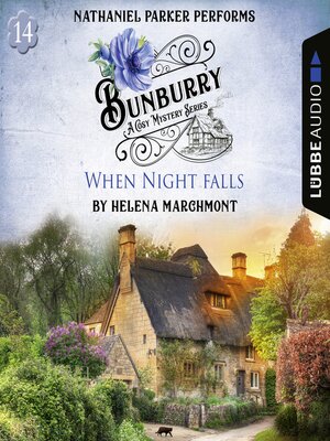 cover image of When Night falls--Bunburry--A Cosy Mystery Series, Episode 14